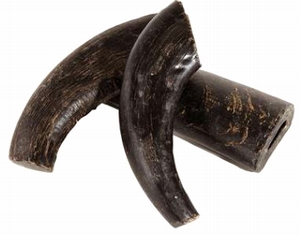 Buffelhoorn S - per stuk