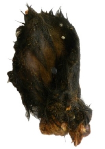 Runderoren met haar - 15 stuks