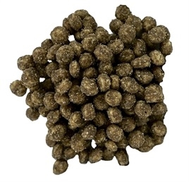 Borrelnootjes  Vis- 1kg