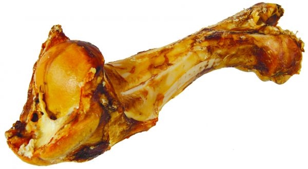 Dinobotten - 8 stuks