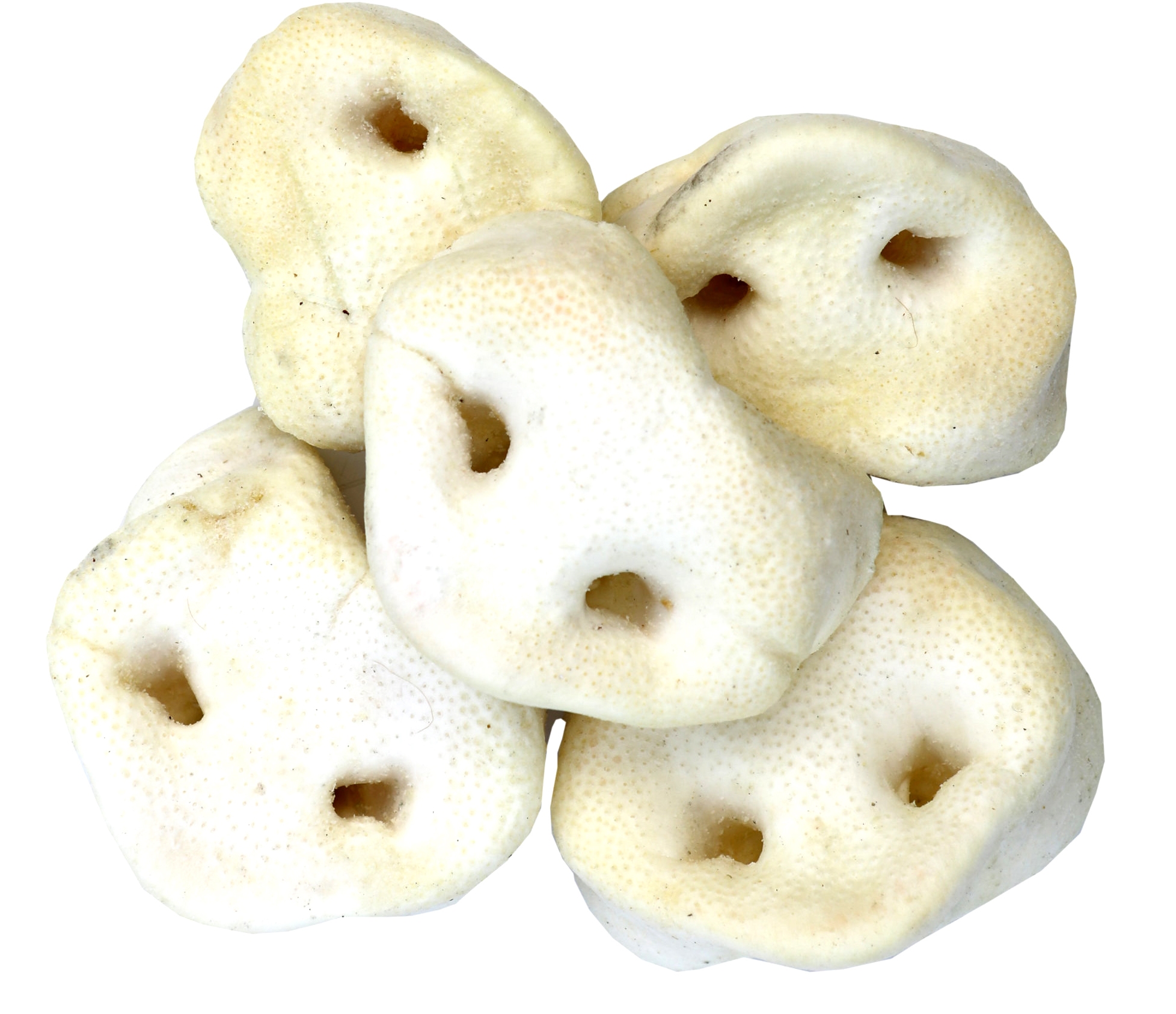 UITVERKOOP Honingneuzen - 150 stuks