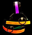 Lichtgevende halsband Multi color